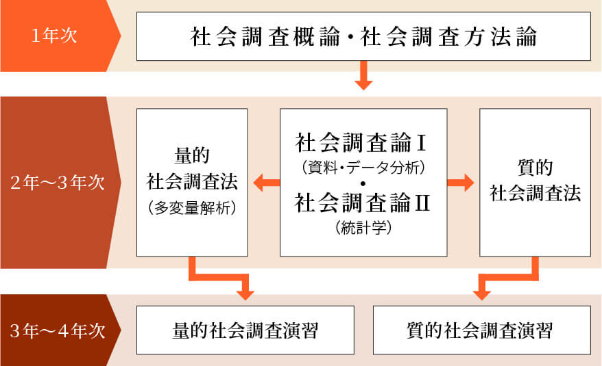 1年次：社会調査概論・社会調査方法論　2年～3年次：社会調査論1（資料・データ分析）・社会調査論2（統計学）　量的社会調査法（多変量解析）または質的社会調査法　3年～4年次：量的社会調査演習または質的社会調査演習