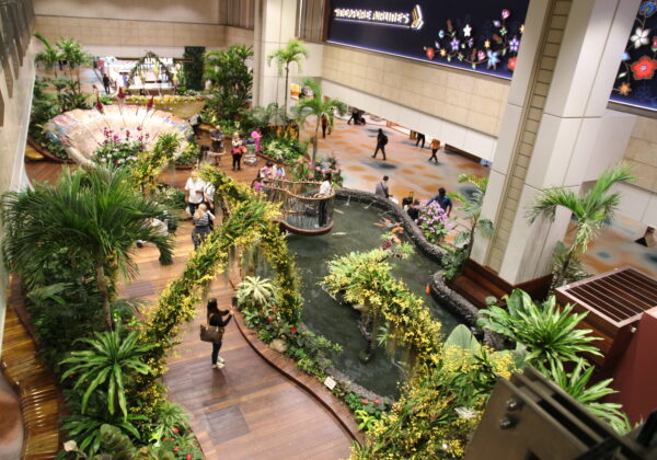 2026年度社会学専攻生卒業研究希望届けに関して